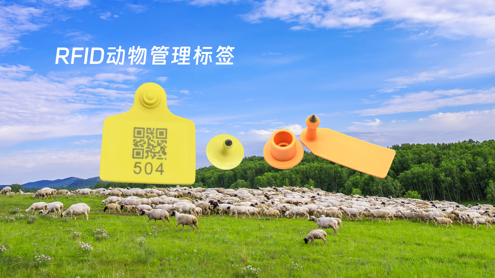 微信图片_20250319133626